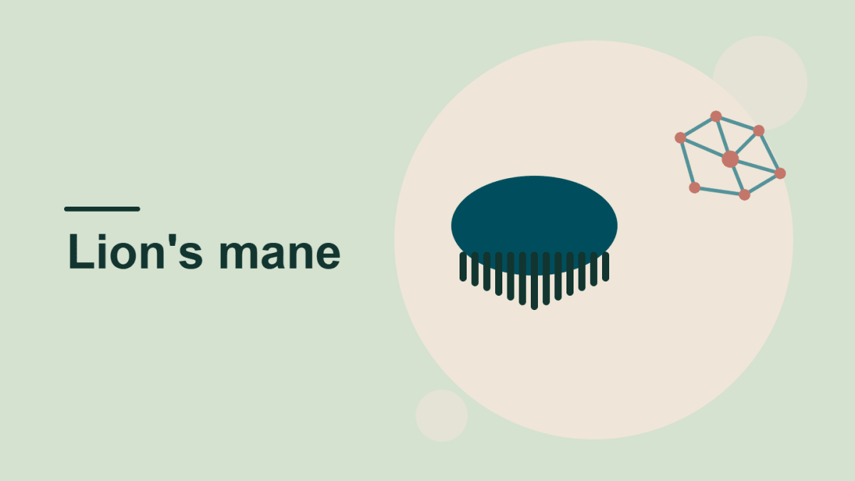 A shaggy lion's mane mushroom beside connected nerve cells on a light green background, the cover image for our guide to lion's mane for brain health.