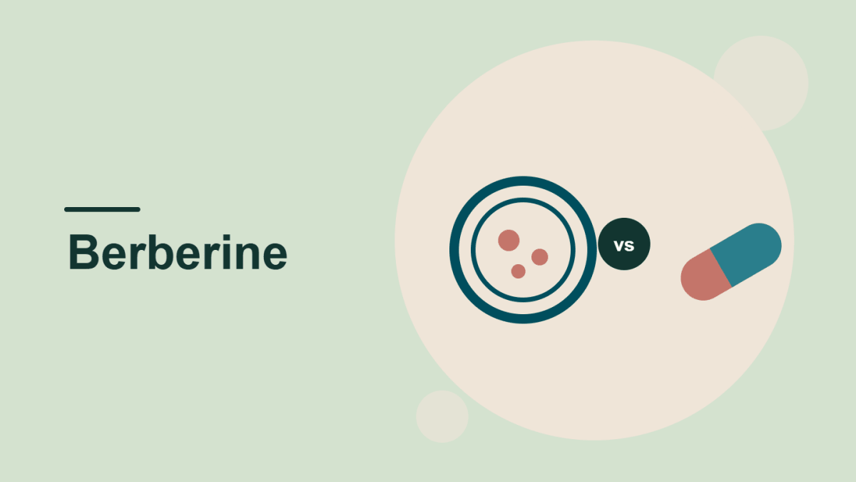A round liposome bubble beside a capsule on a light green background, the cover image for our guide to berberine phytosome vs berberine HCl.