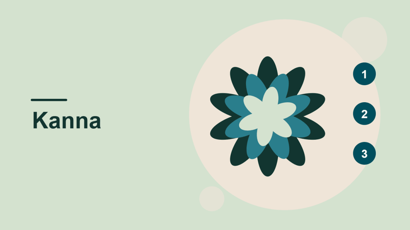 How to Use Kanna Nasal Spray: Step-by-Step Guide