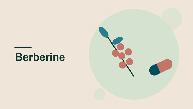 Best Berberine Supplements: A Complete Buyer’s Guide