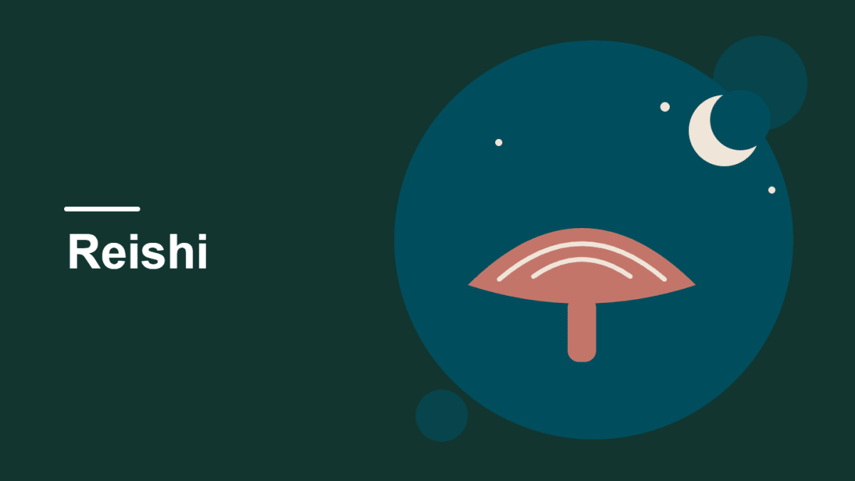 A reishi mushroom under a crescent moon and stars on a dark green background, the cover image for our guide to reishi for sleep.