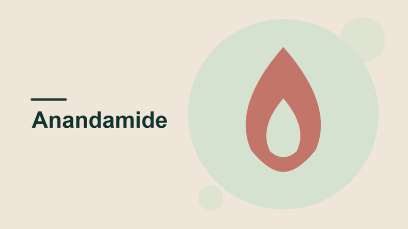 The Anti-Inflammatory Power of Anandamide, Explained