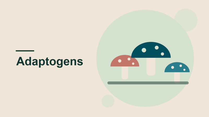 Adaptogenic Mushrooms: What They Are, Benefits and How to Take Them