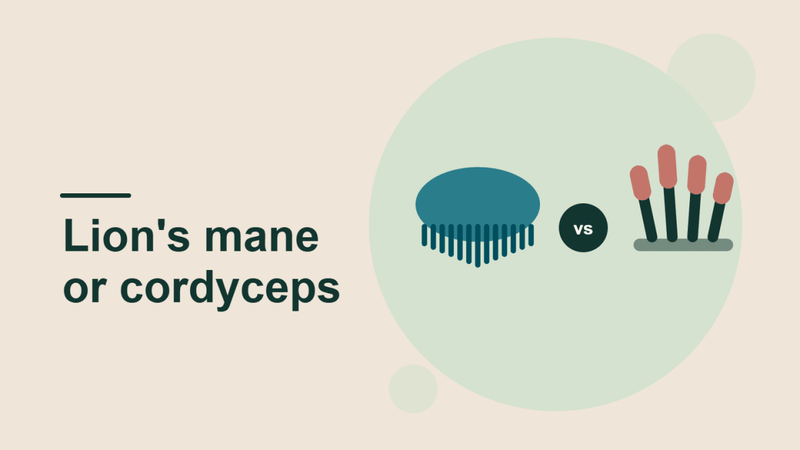 Lion's Mane vs Cordyceps: Which Should You Take?