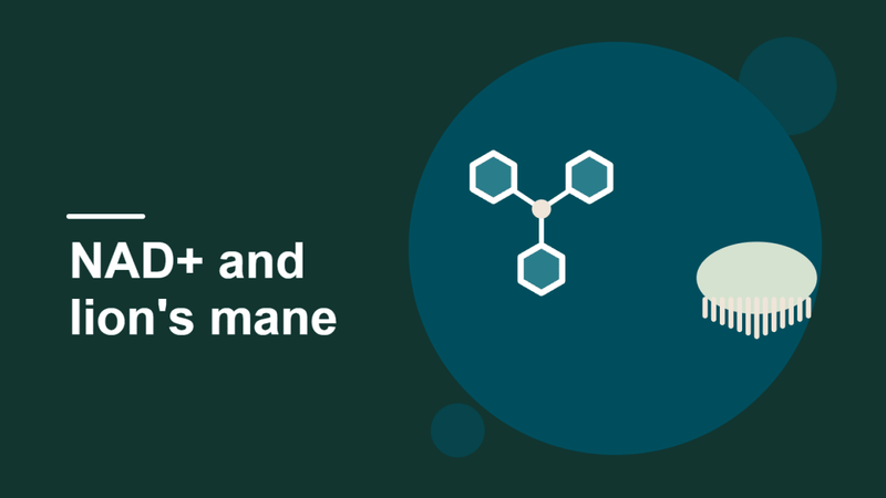 NAD+ Nasal Spray & Lion's Mane for Brain Function