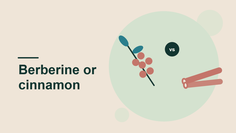 Berberine vs Ceylon Cinnamon: Which Is Better for Blood Sugar?
