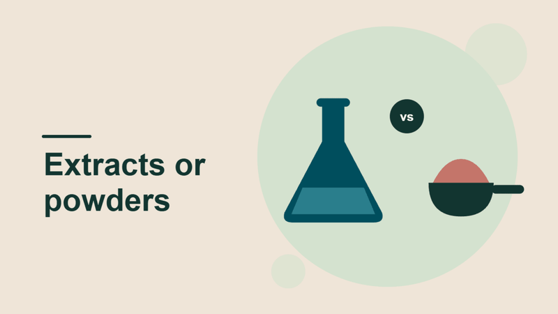 Mushroom Extracts vs Powders: Bioavailability Explained