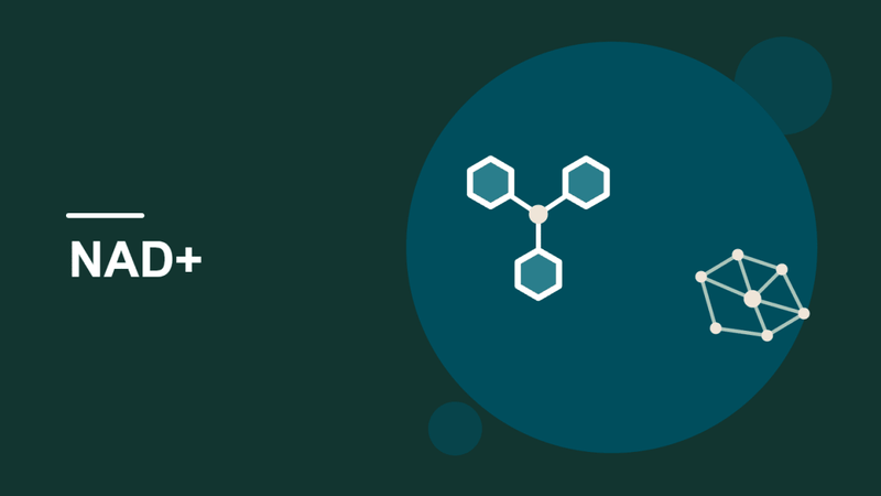 How NAD+ Affects Brain Function and Focus