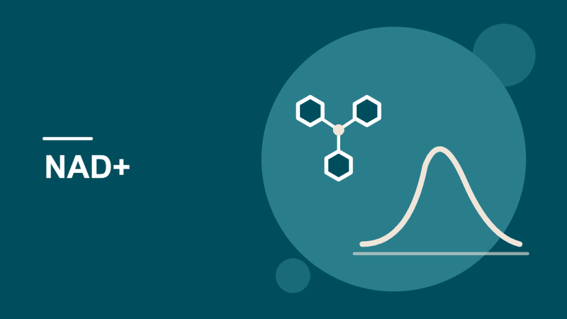How Long Do NAD+ Levels Stay Elevated?