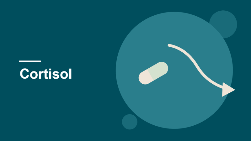 Supplements to Lower Cortisol: What the Research Actually Shows