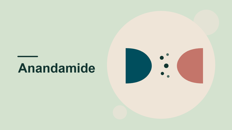 How to Increase Anandamide Naturally: What the Research Shows