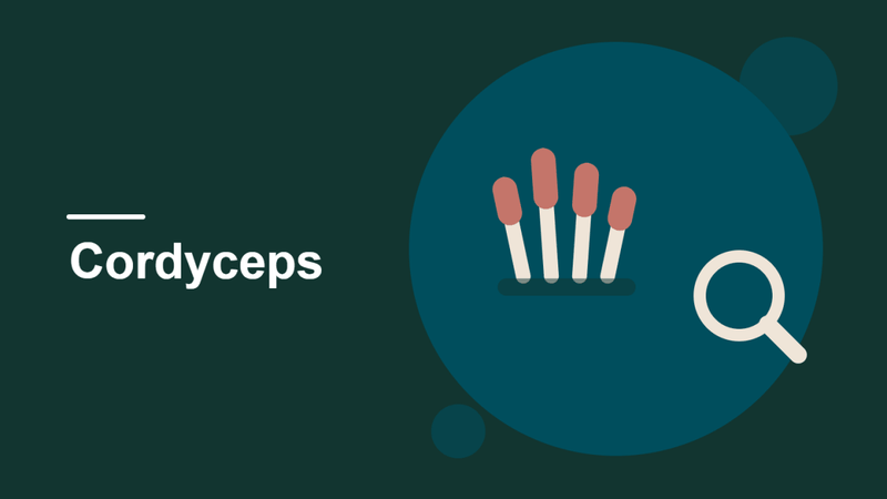 Best Cordyceps Supplement: How to Choose One for Energy