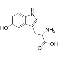 How long does 5 HTP stay in your system