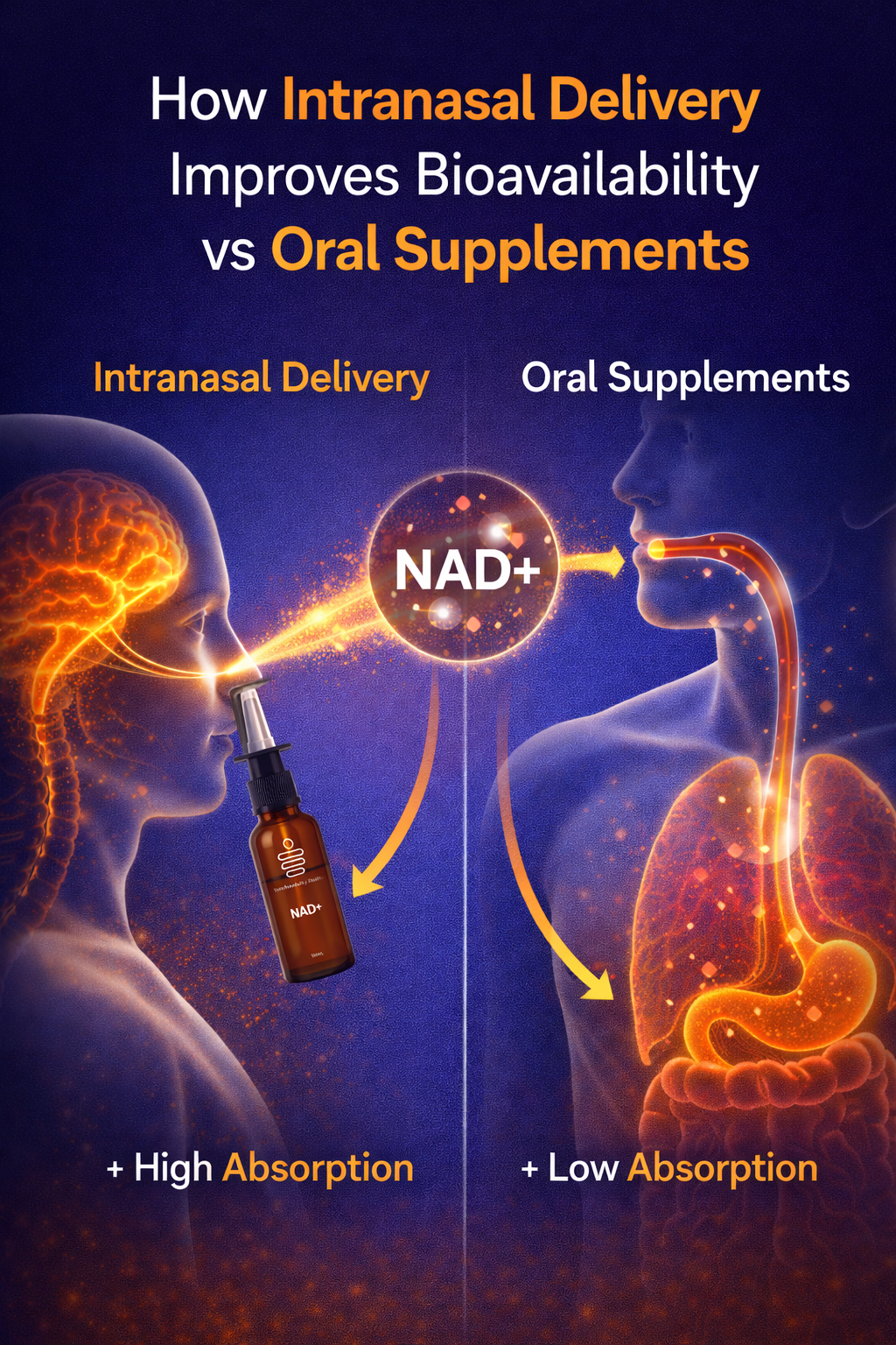 How Intranasal Delivery Improves Bioavailability vs Oral Supplements
