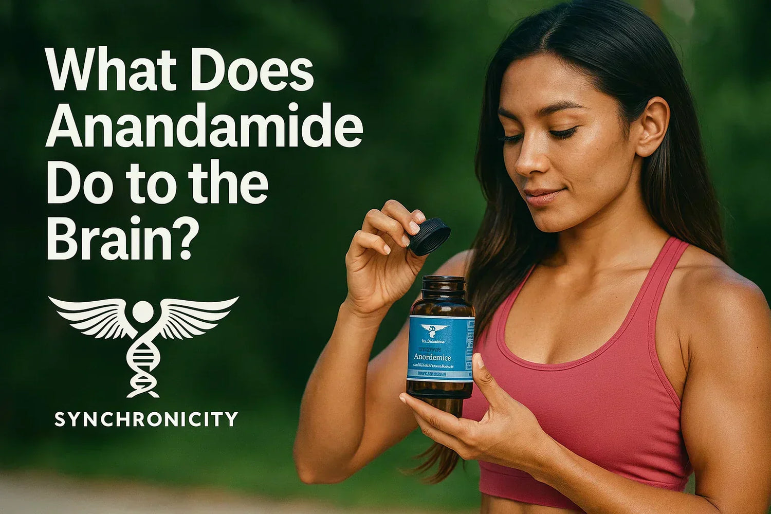 What Does Anandamide Do to the Brain