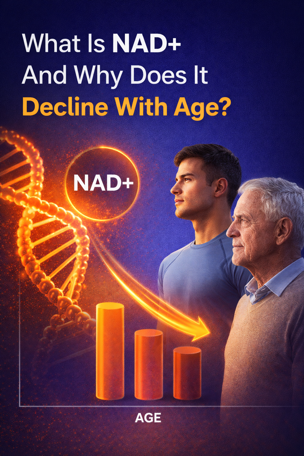 What Is NAD+ And Why Does It Decline With Age?