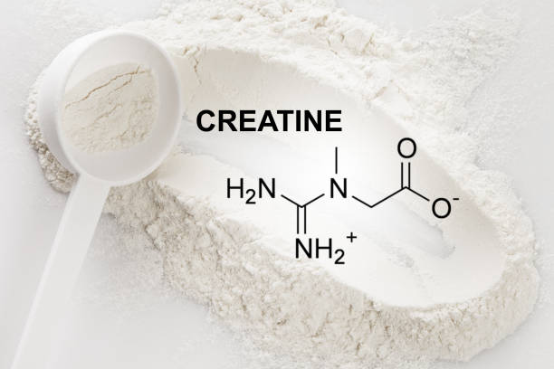 Does Creatine Have Calories?