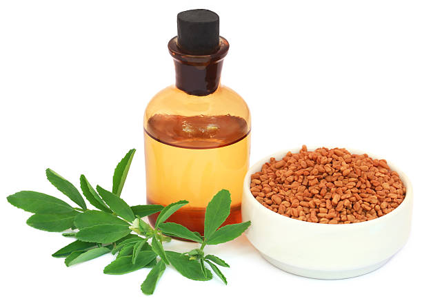 Benefits of Fenugreek Oil