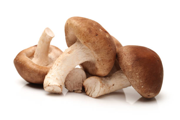 Benefits of Shiitake Mushrooms