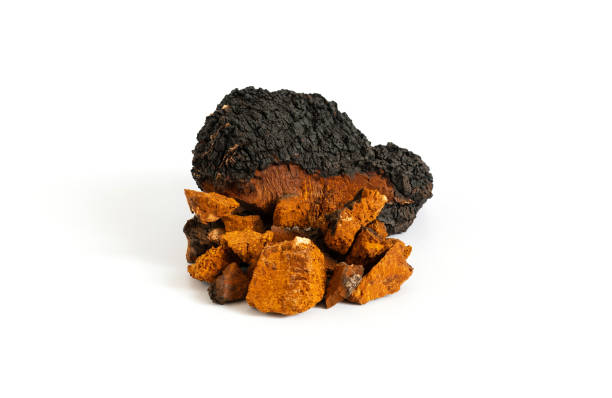 Chaga Mushroom Capsules