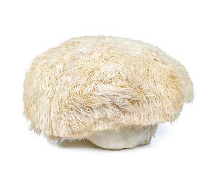 Lions Mane Steak