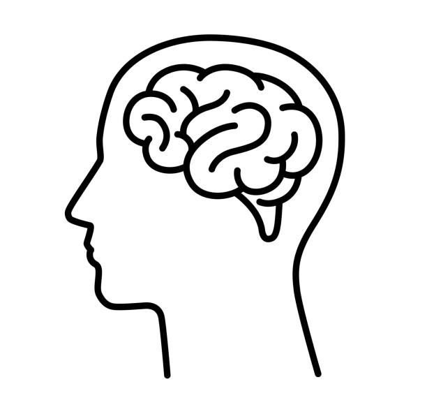 phosphatidylcholine vs phosphatidylserine