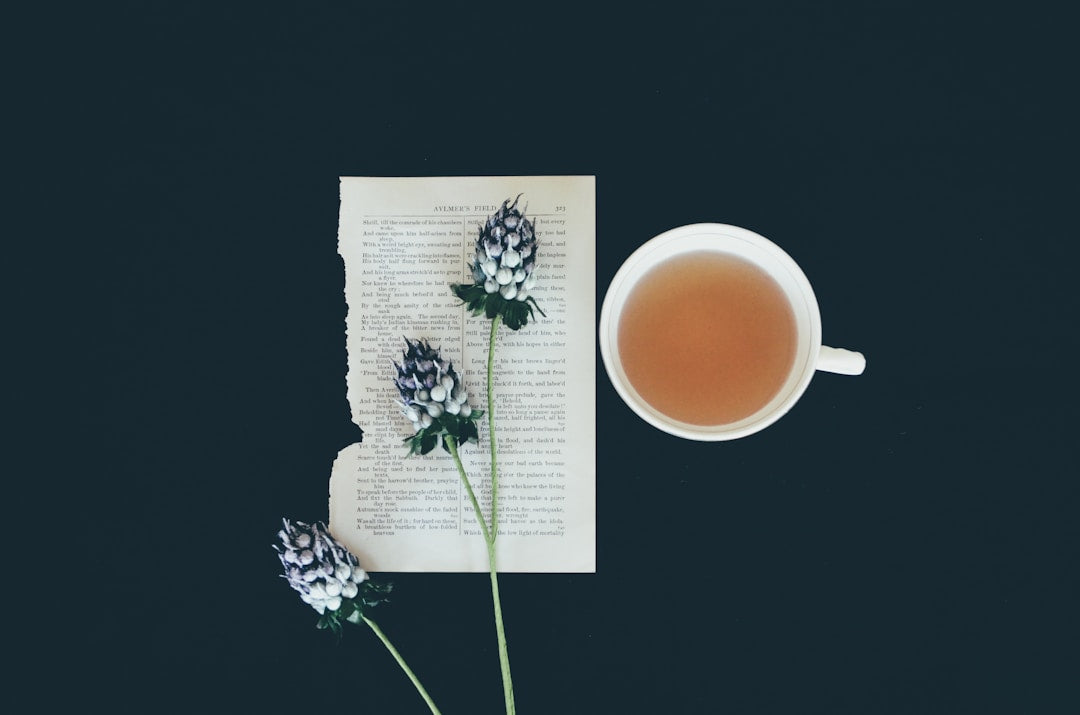 Brewing Basics: How to Make Mushroom Tea for Beginners