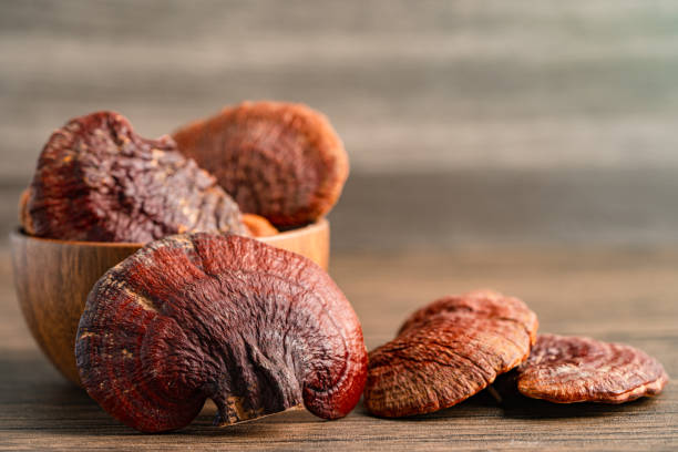 Unlock the Power of Reishi for Better Sleep: A Comprehensive Guide