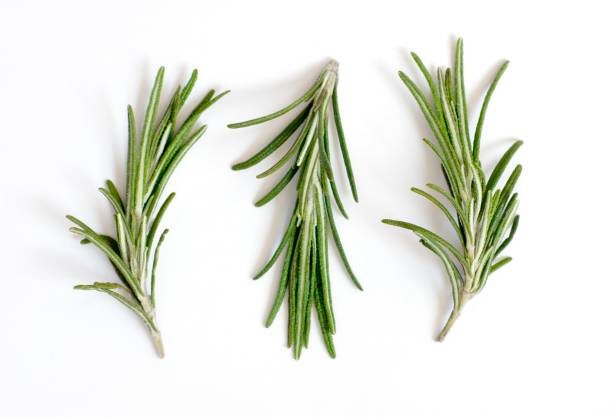 How Rosemary Leaves Can Boost Your Well-being