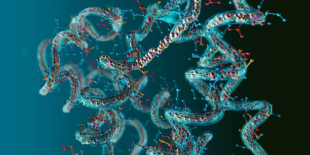 Semaglutide Peptide