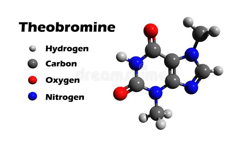 caffeine vs theobromine