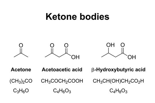 What is Ketosis